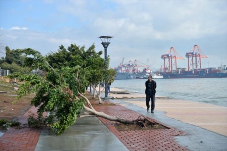 Şiddətli külək Türkiyənin Mersin şəhərini viran qoydu