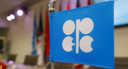 OPEC Azərbaycanla bağlı proqnozu açıqladı