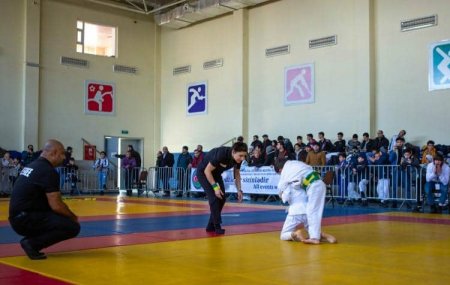 Braziliya ciu-citsusu üzrə “Baku Open” turniri keçirilib