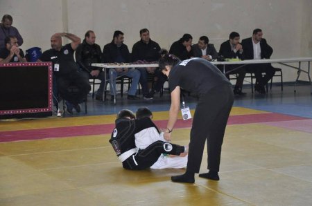 Braziliya ciu-citsusu üzrə “Baku Open” turniri keçirilib