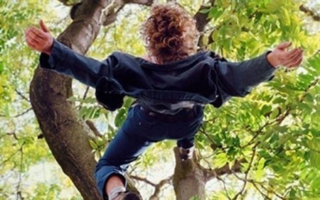 Tovuz sakini qoz ağacından yıxılıb öldü