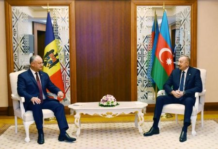 İlham Əliyev İqor Dodonla görüşdü