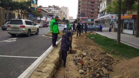 Xətai rayonunda vətəndaşlar ödənişli ictimai işlərə cəlb olunur