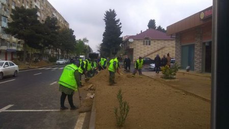 Xətai rayonunda vətəndaşlar ödənişli ictimai işlərə cəlb olunur