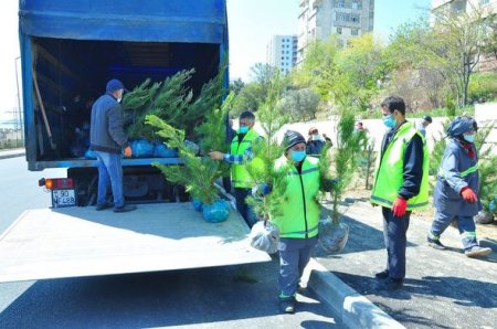 Xətai rayonunda vətəndaşlar ödənişli ictimai işlərə cəlb olunur
