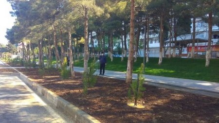 Xətai rayonunda vətəndaşlar ödənişli ictimai işlərə cəlb olunur