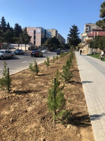 Xətai rayonunda vətəndaşlar ödənişli ictimai işlərə cəlb olunur