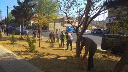 Xətai rayonunda vətəndaşlar ödənişli ictimai işlərə cəlb olunur