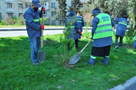 Xətai rayonunda vətəndaşlar ödənişli ictimai işlərə cəlb olunur