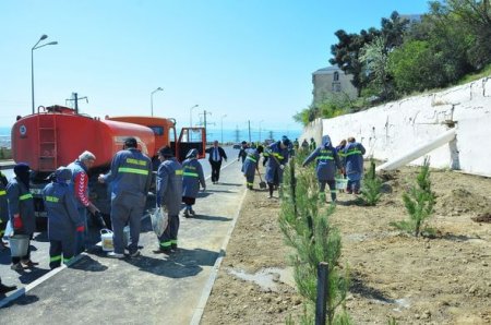 Xətai rayonunda vətəndaşlar ödənişli ictimai işlərə cəlb olunur