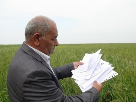 Prezidentin köməkçisi torpaqları əllərindən alınan Biləsuvar kəndlilərinə zəng vurdu