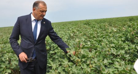 Vilyam Hacıyev barəsində həbs qətimkan tədbiri seçildi