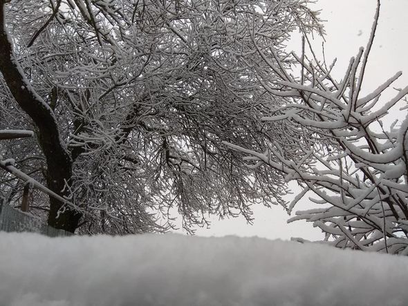 Ən çox qar Ordubadda, ən az isə Qusarda yağıb