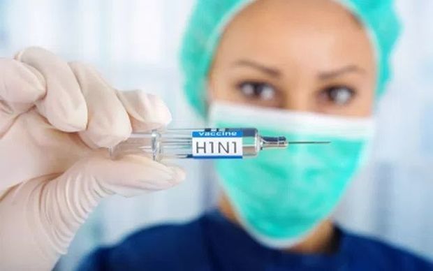 Gürcüstanda “donuz qripi”nin güclənəcəyi istisna olunmur